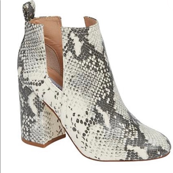 Steve Madden Shoes - Steve Madden snake bootie